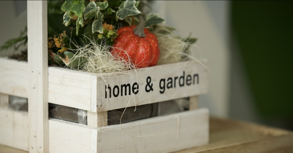 Netherlands Home Garden Lifestyle SME Products and Opportunities: A Practical Guide